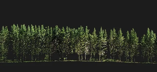 LiDAR forestal bajo dosel para inventario y cubicación